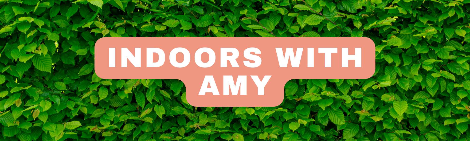 Indoors with Amy